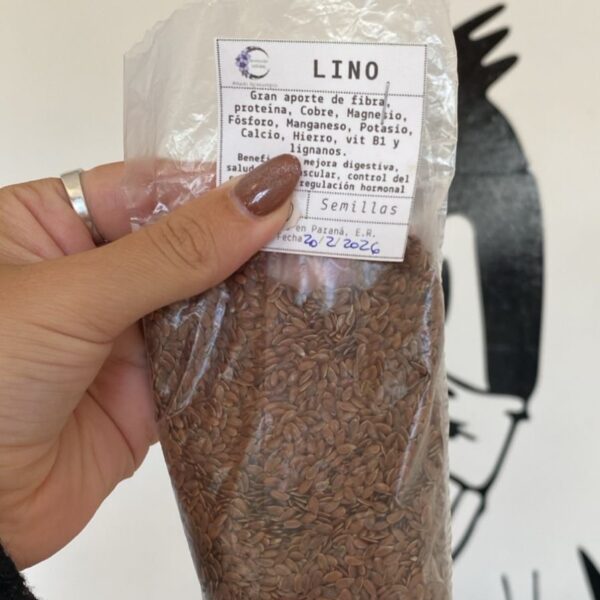 Semillas de lino 100gr