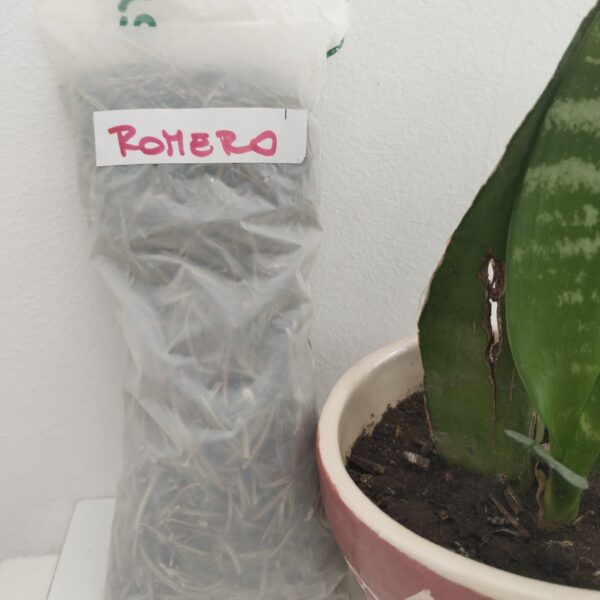 Romero agroecológico
